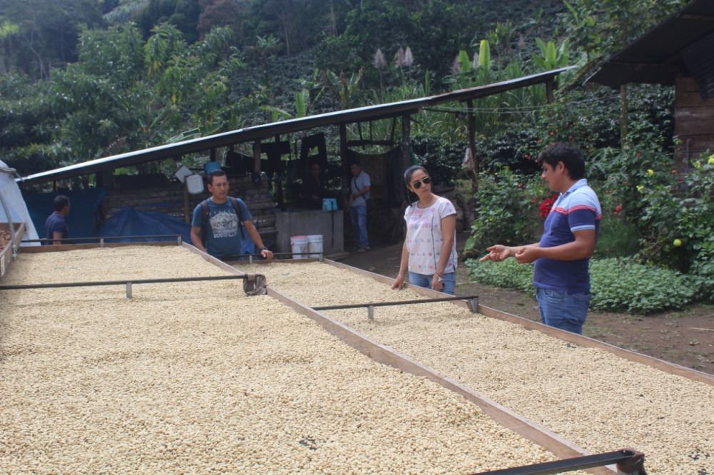 Drying Beds